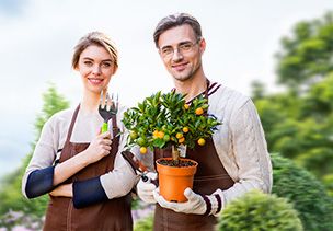 Проект «под ключ» где можно заказать по низкой цене  в Сургуте