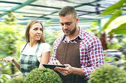 Дендроплан - верное планирование территории и решения этой задачи на уровне  в Сургуте