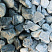 Kamenclub.ru: Щебень галтованный зеленый (змеевик) фр. 50-100 мм.  купить в Сургуте галтовка мраморная зеленый, салатовый мрамор 12 500 руб/т   фото КАМЕНЬ КЛУБ