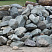 Kamenclub.ru: Гранит скальник (серо-зеленый) фр. 100-500 мм.  купить в Сургуте гранит зеленый, серый, салатовый крупный ландшафтный валун 6 000 руб/т   фото КАМЕНЬ КЛУБ