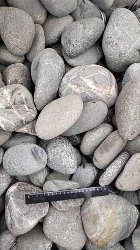 Kamenclub.ru: Галька речная окат (темно-серая) фр. 70-150 мм. купить  в Сургуте галька речная темно-серая, синяя, серая речная галька округлая  8000 руб/т   фото КАМЕНЬ КЛУБ