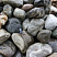 Kamenclub.ru: Речной валун Кабанчик фр.300-500 мм.  купить в Сургуте крупный природный камень галька серый, темно-серый речной валун галечник масштабный 7000 руб/т   фото КАМЕНЬ КЛУБ