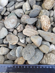 Kamenclub.ru: Галька речная окат (пестрая) фр. 20-40 мм. купить  в Сургуте галька речная пестрая, серая, серые оттенки галька речная окатанная округлая 5000 руб/т   фото КАМЕНЬ КЛУБ