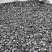 Kamenclub.ru: Щебень крошка черный (мрамор) фр. 10-20 мм.  купить в Сургуте мрамор черный с белыми прожилками, черный, белый каменная ландшафтная декоративная крошка щебня 11000 руб/т   фото КАМЕНЬ КЛУБ