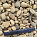 Kamenclub.ru: Галька речная окат рыжая фр. 20-40 мм. купить  в Сургуте галька речная окатанная рыжая желтая серая округлая речная галька 5000 руб/т   фото КАМЕНЬ КЛУБ