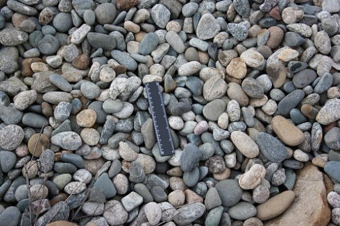 Kamenclub.ru: Галька речная окат (пестрая) фр. 20-40 мм. купить  в Сургуте галька речная пестрая, серая, серые оттенки галька речная окатанная округлая 5000 руб/т   фото КАМЕНЬ КЛУБ