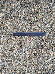 Kamenclub.ru: Галька речная окат (серая) фр.5-10 мм купить  в Сургуте галька речная серая, серый, темно-серый, светло-серый, коричневый речная окатанная галька декоративная ландшатфная 5000 руб/т   фото КАМЕНЬ КЛУБ