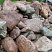 Kamenclub.ru: Конгломераты фр. 300-1000 мм.  купить в Сургуте кварц мрамор диабаз коричневый, серый зеленоватый речной валун крупный 6500 руб/т   фото КАМЕНЬ КЛУБ