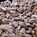 Kamenclub.ru: Розовый валунчик фр.100-300 мм.  купить в Сургуте крупный природный камень розовый, серый молочный красный речной галечник природный 7850 руб/т   фото КАМЕНЬ КЛУБ