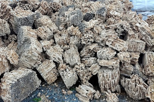 Kamenclub.ru: Крымский природный меотис фр. 100-500 мм.  купить в Сургуте меотис бежевый рыжий молочный желтый ракушечник 4 500 руб/т   фото КАМЕНЬ КЛУБ