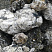 Kamenclub.ru: Черный гранит - кварцит фр. 100-500 мм.  купить в Сургуте мрамор гранит черный с белыми прожилками, серый, белый валун скальный колотый 7000 руб/т   фото КАМЕНЬ КЛУБ