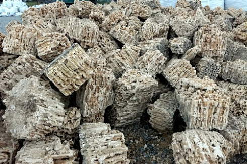 Kamenclub.ru: Крымский природный меотис фр. 100-500 мм.  купить в Сургуте меотис бежевый рыжий молочный желтый ракушечник 4 500 руб/т   фото КАМЕНЬ КЛУБ