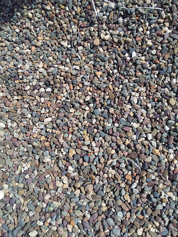 Kamenclub.ru: Галька речная окат цветная фр.5-10 мм. купить  в Сургуте галька речная белый, серый, красноватый, синий, темно-серый речная окатанная галька декоративная 6800 руб/т   фото КАМЕНЬ КЛУБ