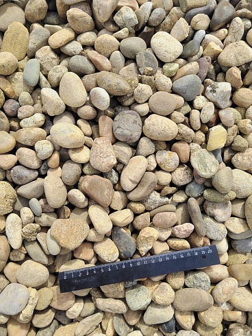 Kamenclub.ru: Галька речная окат рыжая фр. 20-40 мм. купить  в Сургуте галька речная окатанная рыжая желтая серая округлая речная галька 5000 руб/т   фото КАМЕНЬ КЛУБ