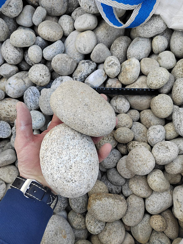 Kamenclub.ru: Галька речная окат (серо-белая) фр. 70-120 мм купить  в Сургуте галька галечник бело-серая, серо-белая, серая, белая речная природная галька  8000 руб/т   фото КАМЕНЬ КЛУБ