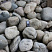 Kamenclub.ru: Темно-серый валунчик фр.100-300 мм.  купить в Сургуте крупный природный камень серый, темно-серый, светло-серый речная галька большого размера окатанная 4500 руб/т   фото КАМЕНЬ КЛУБ