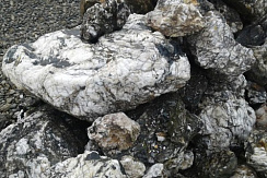 Kamenclub.ru: Черный гранит - кварцит фр. 500-1000 мм.  купить в Сургуте гранит кварцит черный серый белый скальный колотый валун 9750 руб/т   фото КАМЕНЬ КЛУБ