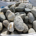 Kamenclub.ru: Речной валун (Ассорти) фр.100-300 мм.  купить в Сургуте галечник серый, темно-серый, светло-серый речная галька крупных размеров 4200 руб/т   фото КАМЕНЬ КЛУБ