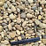 Kamenclub.ru: Галька речная окат рыжая фр. 20-40 мм. купить  в Сургуте галька речная окатанная рыжая желтая серая округлая речная галька 5000 руб/т   фото КАМЕНЬ КЛУБ