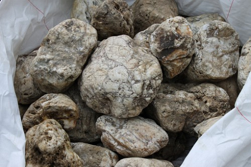 Kamenclub.ru: Кварцевый валунчик фр.100-300 мм.  купить в Сургуте кварц белый, бежевый молочный рыжий крупный природный камень галечник 7850 руб/т   фото КАМЕНЬ КЛУБ