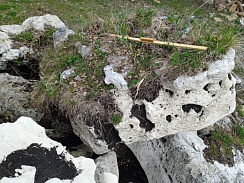 Kamenclub.ru: Выветренный известняк (степной) фр. 500-1500 мм.  купить в Сургуте    10000 руб/т   фото КАМЕНЬ КЛУБ