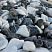 Kamenclub.ru: Мраморная крошка (щебень галтованный микс:: белый-черный) фр.20-40 мм  купить в Сургуте мрамор белый, черный мраморный галтованный щебень 15500 руб/т   фото КАМЕНЬ КЛУБ