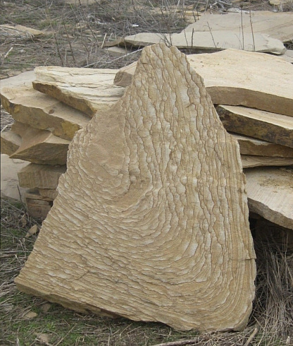 Kamenclub.ru: Форматный камень (плаха) пошаговая дорожка от 70-150 см (4 -12 см)  купить в Сургуте плитняк  форматный плаха желтый песчаник 9 000 руб/т   фото КАМЕНЬ КЛУБ