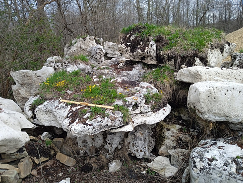 Kamenclub.ru: Выветренный известняк со мхом фр. 100-500 мм.  купить в Сургуте известняк серый белый зеленый валун известняковый крупный 10000 руб/т   фото КАМЕНЬ КЛУБ