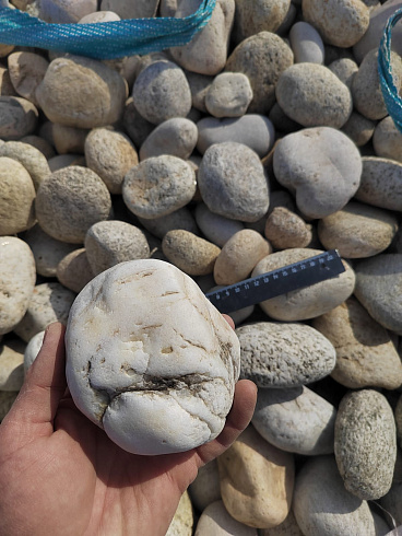 Kamenclub.ru: Галька речная окат (серо-белая) фр. 70-120 мм купить  в Сургуте галька галечник бело-серая, серо-белая, серая, белая речная природная галька  8000 руб/т   фото КАМЕНЬ КЛУБ