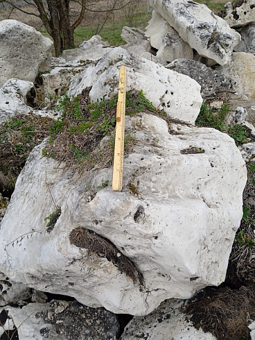 Kamenclub.ru: Выветренный известняк со мхом фр. 100-500 мм.  купить в Сургуте известняк серый белый зеленый валун известняковый крупный 10000 руб/т   фото КАМЕНЬ КЛУБ