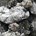Kamenclub.ru: Черный гранит - кварцит фр. 100-500 мм.  купить в Сургуте мрамор гранит черный с белыми прожилками, серый, белый валун скальный колотый 7000 руб/т   фото КАМЕНЬ КЛУБ