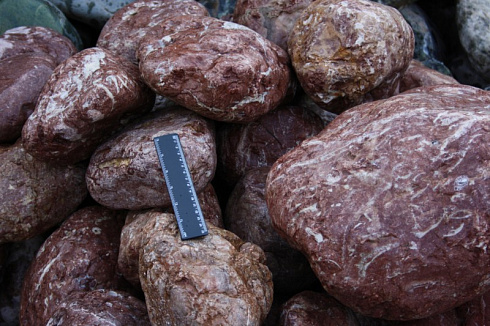 Kamenclub.ru: Розовый валунчик фр.100-300 мм.  купить в Сургуте крупный природный камень розовый, серый молочный красный речной галечник природный 7850 руб/т   фото КАМЕНЬ КЛУБ