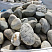 Kamenclub.ru: Речной валун (Ассорти) фр.100-300 мм.  купить в Сургуте галечник серый, темно-серый, светло-серый речная галька крупных размеров 4200 руб/т   фото КАМЕНЬ КЛУБ