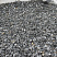 Kamenclub.ru: Щебень крошка черный (мрамор) фр. 5-10 мм.  купить в Сургуте мрамор черный с белыми прожилками, черный, белый мраморная крошка декоративная ландшафтная 11000 руб/т   фото КАМЕНЬ КЛУБ
