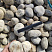 Kamenclub.ru: Галька речная окат (серо-белая) фр. 70-120 мм купить  в Сургуте галька галечник бело-серая, серо-белая, серая, белая речная природная галька  8000 руб/т   фото КАМЕНЬ КЛУБ