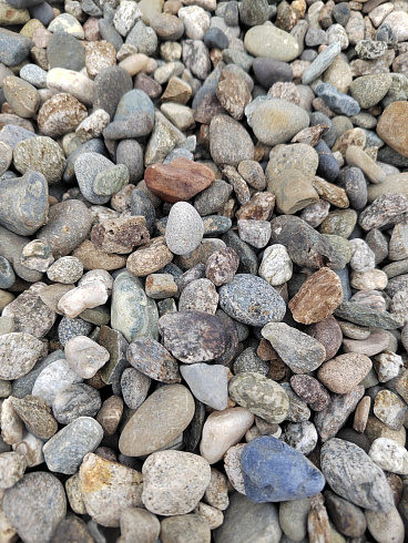 Kamenclub.ru: Галька речная окат (серая) фр.10-20 мм купить  в Сургуте галька речная серая, серый, темно-серый, светло-серый, коричневый ландшафтная декоративная речная окатанная округлая галька 5000 руб/т   фото КАМЕНЬ КЛУБ