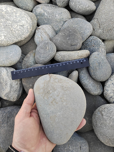 Kamenclub.ru: Галька речная плоская (ассорти) фр. 70-150 мм. купить  в Сургуте галька галечник серый белый темно-серый синий светло-серый плоская природная галька  9000 руб/т   фото КАМЕНЬ КЛУБ