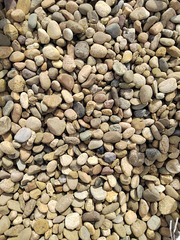 Kamenclub.ru: Галька речная окат рыжая фр. 20-40 мм. купить  в Сургуте галька речная окатанная рыжая желтая серая округлая речная галька 5000 руб/т   фото КАМЕНЬ КЛУБ