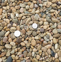 Kamenclub.ru: Галька окат (серо-желтая) фр.10-20 мм. купить  в Сургуте галька серо-желтая, рыжая, серый речная окатанная округлая галька 5000 руб/т   фото КАМЕНЬ КЛУБ