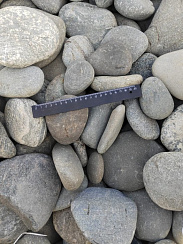 Kamenclub.ru: Галька речная плоская (ассорти) фр. 70-150 мм. купить в Сургуте галька галечник серый белый темно-серый синий светло-серый плоская природная галька  9000 руб/т   фото КАМЕНЬ КЛУБ