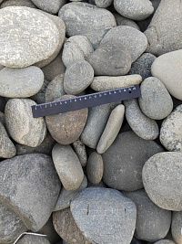 Kamenclub.ru: Галька речная плоская (ассорти) фр. 70-150 мм. купить в Сургуте галька галечник серый белый темно-серый синий светло-серый плоская природная галька  9000 руб/т   фото КАМЕНЬ КЛУБ