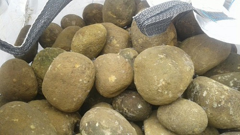 Kamenclub.ru: Песчаник ядра, фр. 100-300 мм  купить в Сургуте песчаник бежевый серый рыжий речная галька 5 000 руб/т   фото КАМЕНЬ КЛУБ