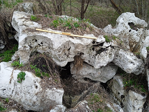 Kamenclub.ru: Выветренный известняк со мхом фр. 100-500 мм.  купить в Сургуте известняк серый белый зеленый валун известняковый крупный 10000 руб/т   фото КАМЕНЬ КЛУБ