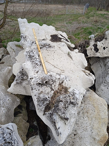 Kamenclub.ru: Выветренный известняк со мхом фр. 100-500 мм.  купить в Сургуте известняк серый белый зеленый валун известняковый крупный 10000 руб/т   фото КАМЕНЬ КЛУБ