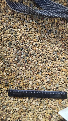 Kamenclub.ru: Галька окат (серо-желтая) фр.5-10 мм. купить  в Сургуте галька речная рыжий, желтый, рыжий, серо-желтый речная окатанная галька декоративная 5000 руб/т   фото КАМЕНЬ КЛУБ