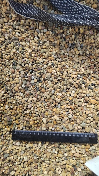 Kamenclub.ru: Галька окат (серо-желтая) фр.5-10 мм. купить  в Сургуте галька речная рыжий, желтый, рыжий, серо-желтый речная окатанная галька декоративная 5000 руб/т   фото КАМЕНЬ КЛУБ