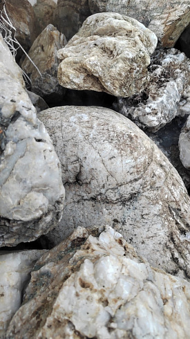 Kamenclub.ru: Кварцевый валунчик фр.100-300 мм.  купить в Сургуте кварц белый, бежевый молочный рыжий крупный природный камень галечник 7850 руб/т   фото КАМЕНЬ КЛУБ