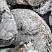 Kamenclub.ru: Кварцевый валунчик фр.100-300 мм.  купить в Сургуте кварц белый, бежевый молочный рыжий крупный природный камень галечник 7850 руб/т   фото КАМЕНЬ КЛУБ
