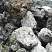 Kamenclub.ru: Черный гранит - кварцит фр. 500-1000 мм.  купить в Сургуте гранит кварцит черный серый белый скальный колотый валун 9750 руб/т   фото КАМЕНЬ КЛУБ