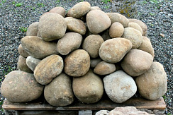 Kamenclub.ru: Песчаник ядра, фр. 100-300 мм  купить в Сургуте песчаник бежевый серый рыжий речная галька 5 000 руб/т   фото КАМЕНЬ КЛУБ